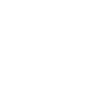 03-zenith-logo-1.png